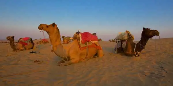 Jaisalmer Desert Festival