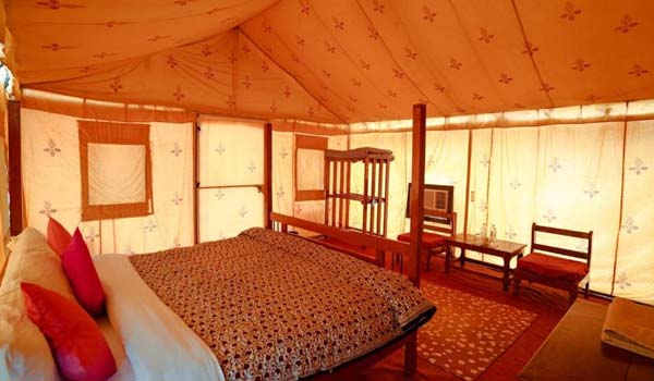 Luxury desert camp at night