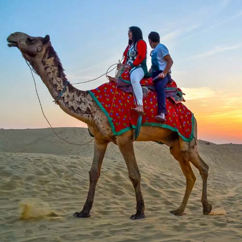 Jaisalmer Camel Safari