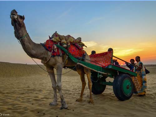 Jaisalmer Thar Desert Package